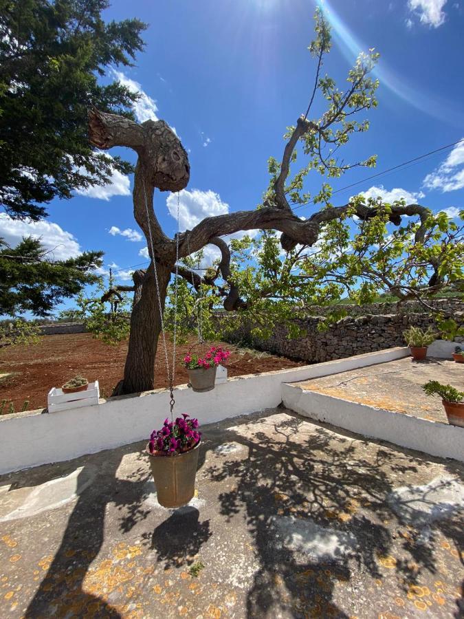 Trulli Demetra Villa Martina Franca Buitenkant foto
