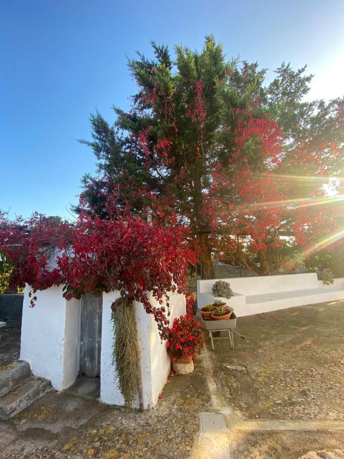 Trulli Demetra Villa Martina Franca Buitenkant foto